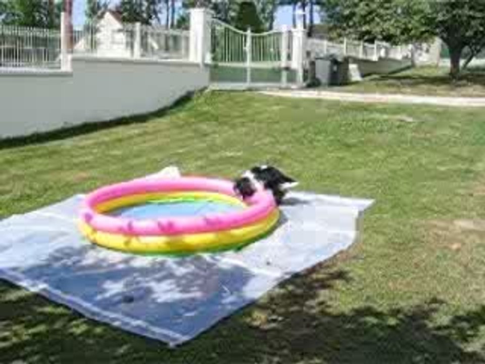 le bain 3