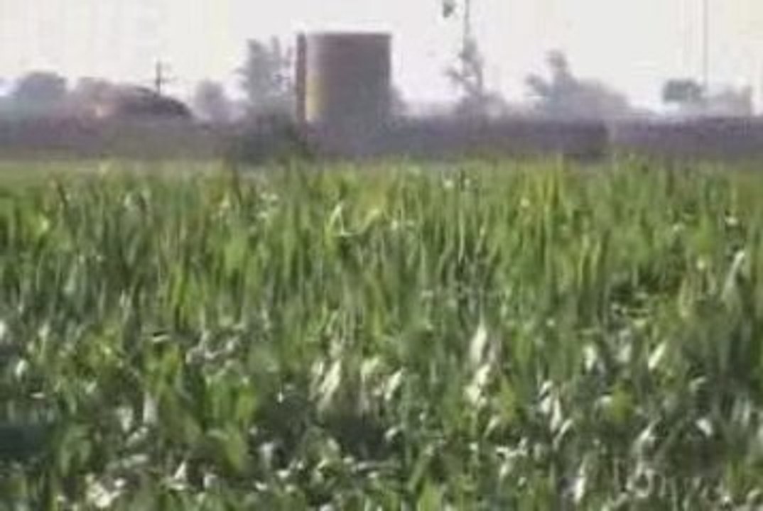 UP: loaded coal E.B. (final Illinois video)