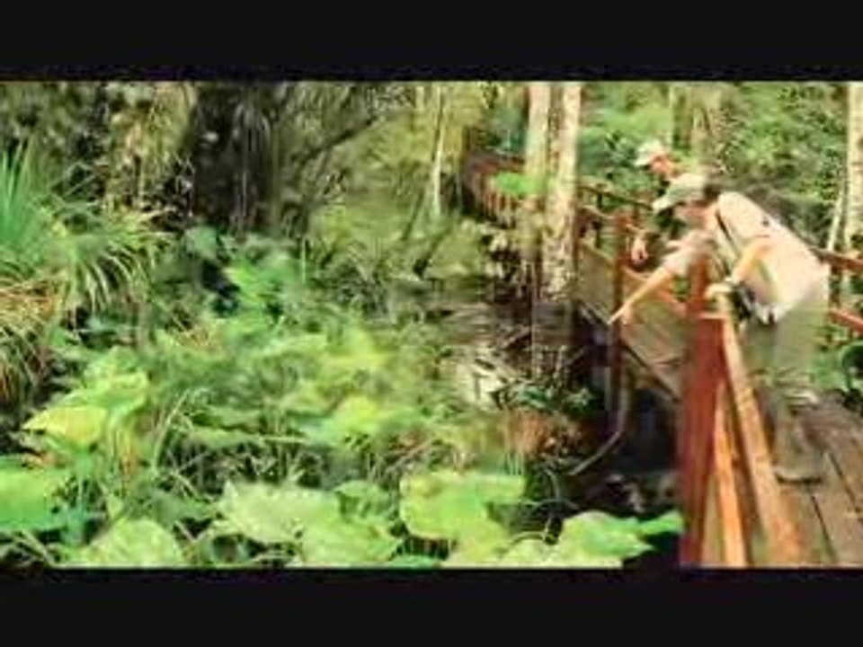 Inkaterra Reserva Amazonica, Tambopata - Peru's Rain Forest