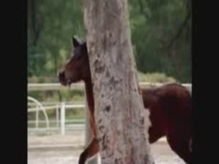 Chh / Juillet 2009 =)