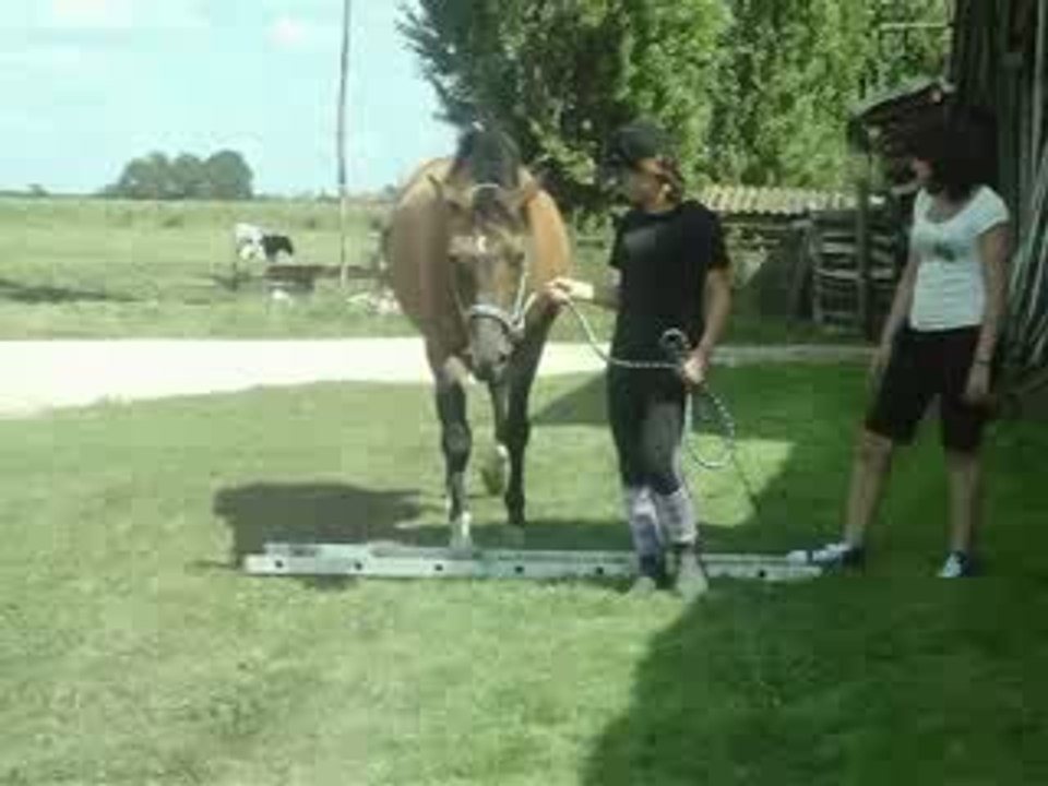 Duc 13.08.09