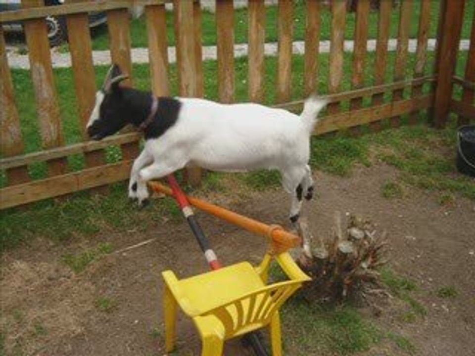 L'histoire de fleur.....notre histoire...<3