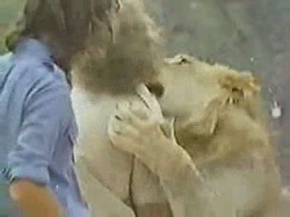 Christian the Lion- Reunion with men who looked after him!