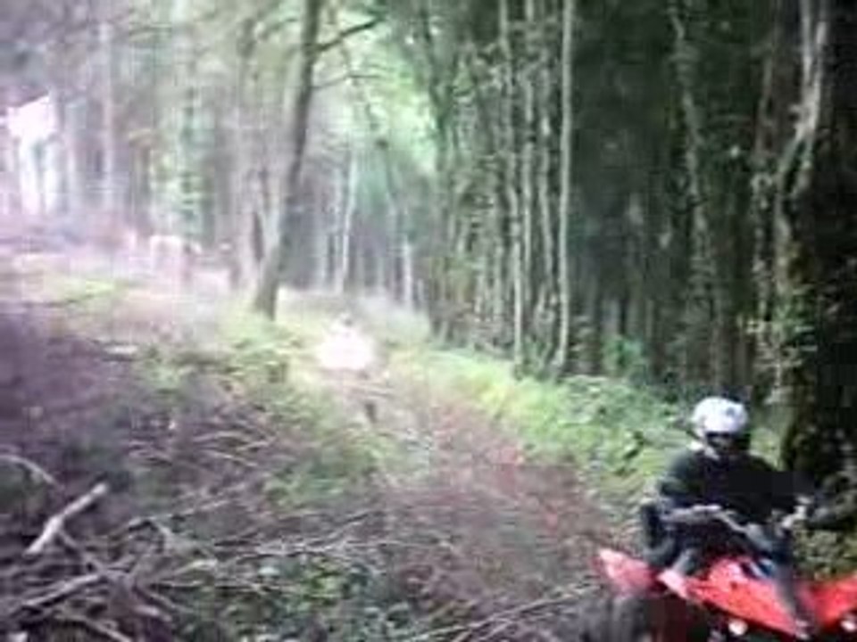 Rando Quad dans la vienne avec mon scrambler et mon assos 2