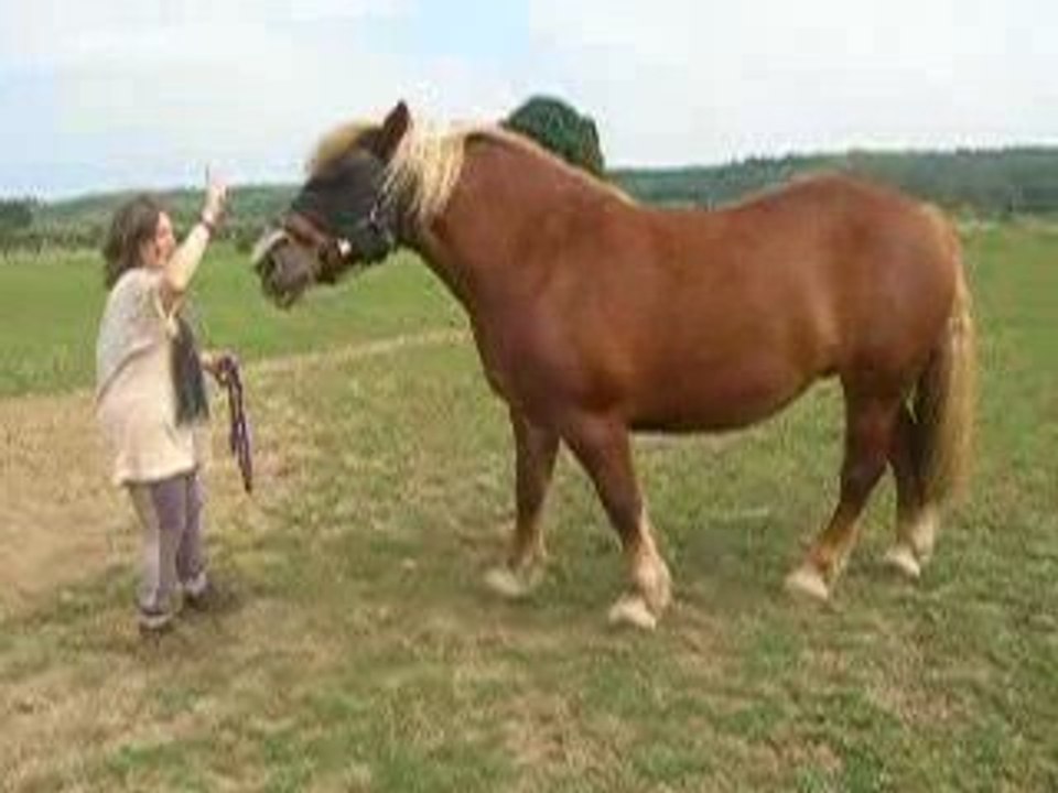 Danette donne la papatte