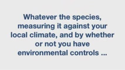 Wood Flooring Glossary Series: Wood Floor Stability