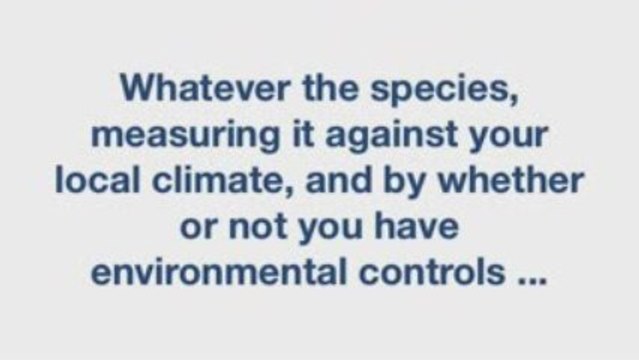 Wood Flooring Glossary Series: Wood Floor Stability