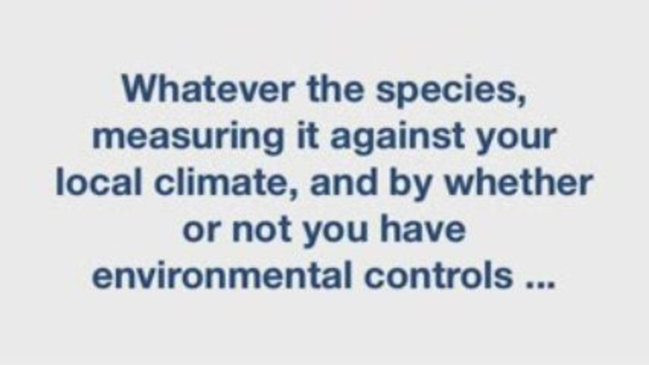 Wood Flooring Glossary Series: Wood Floor Stability
