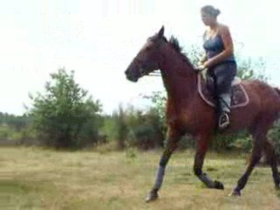 Op'Ahle 2 / 7