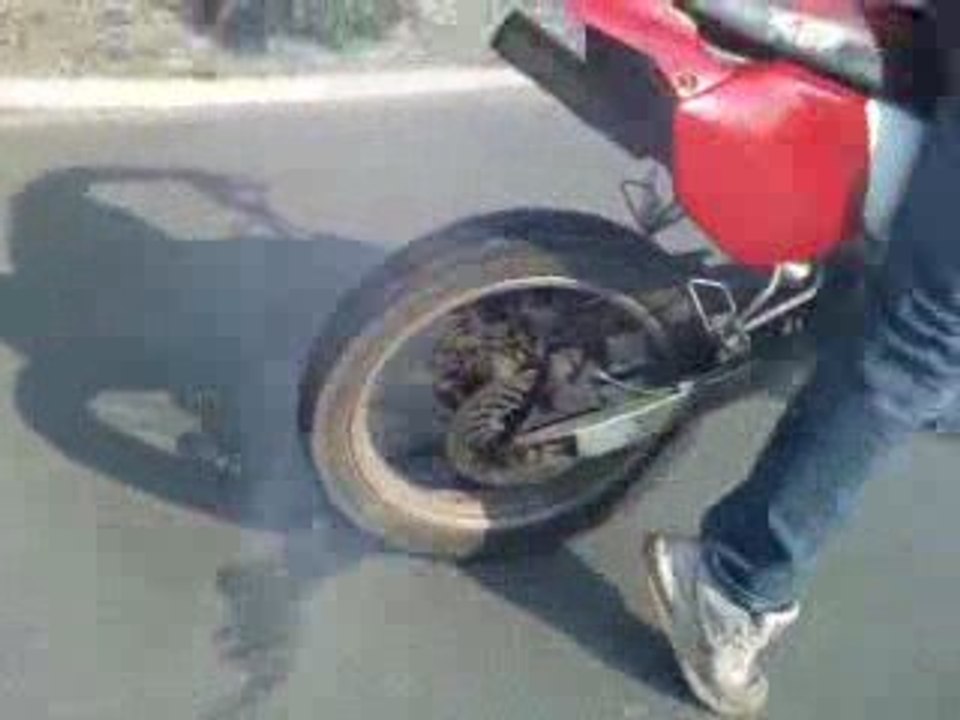 la becane