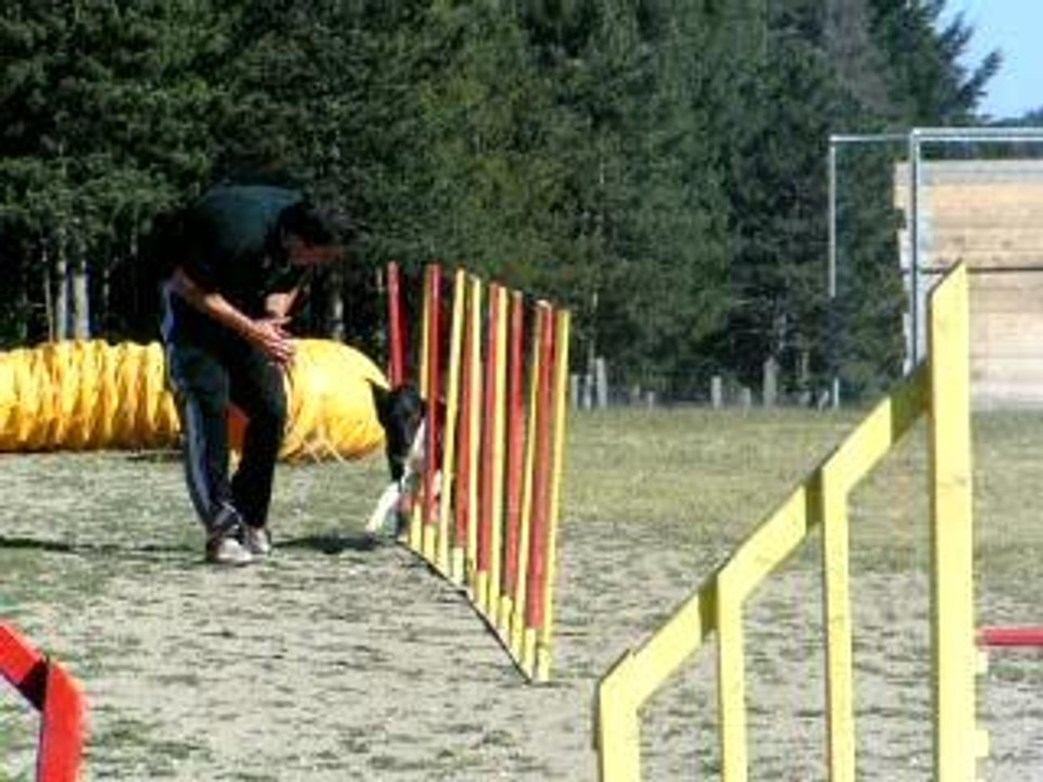 PICT0743
