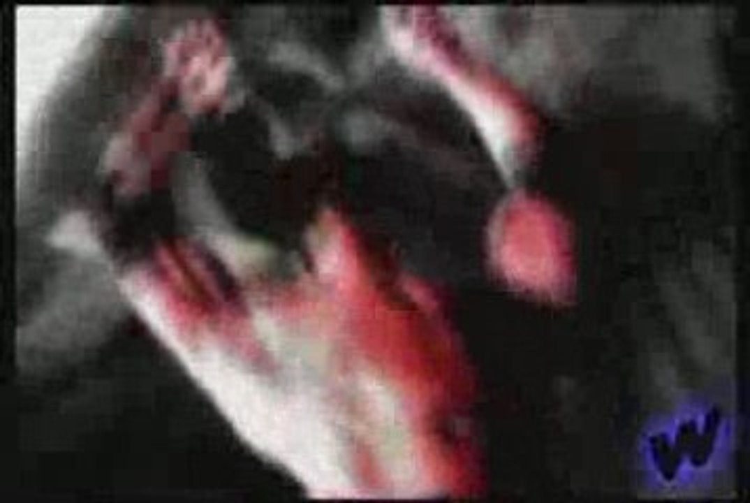 Batista Entrance