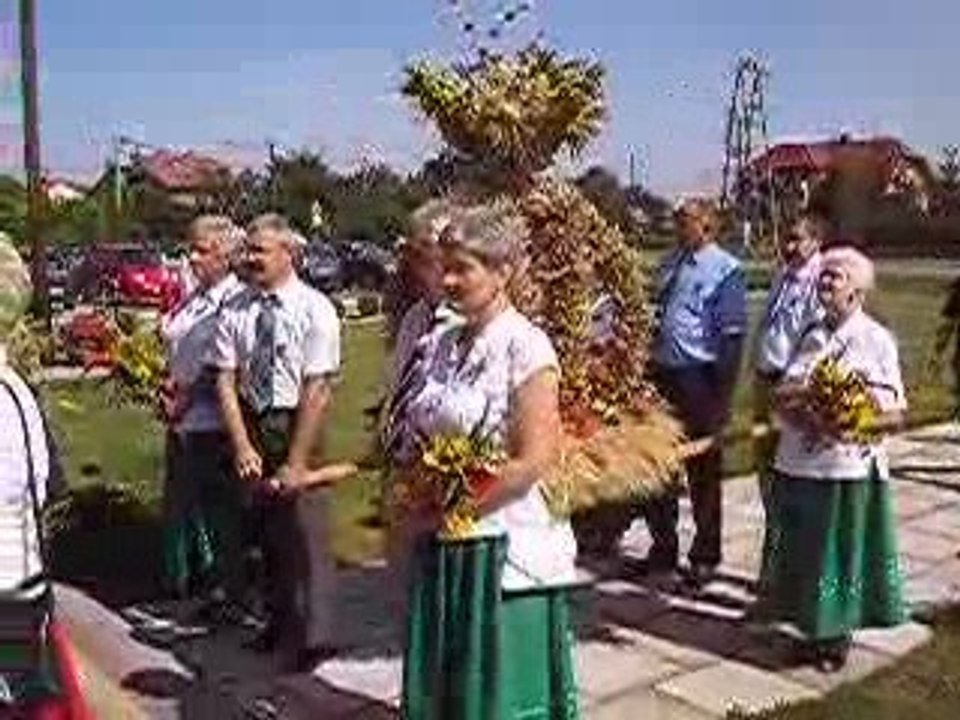 2009-08-15 Zielna w Woli Mieleckiej, cz.1a  15 sierpień 2009