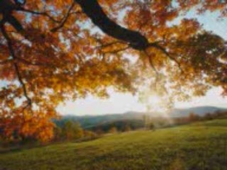 coran en kabyle sourate Al israe en kabyle "Ineg"