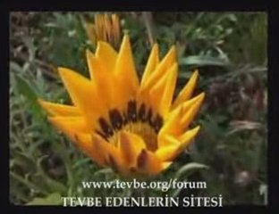 Senai Demirci Kainatın Mayası Muhabbet www.tevbe.org