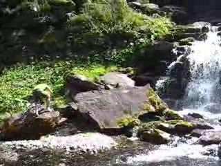 Promenade dans les cascades à Sixt