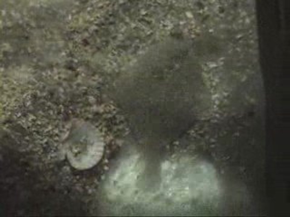 boulogne sur mer bis