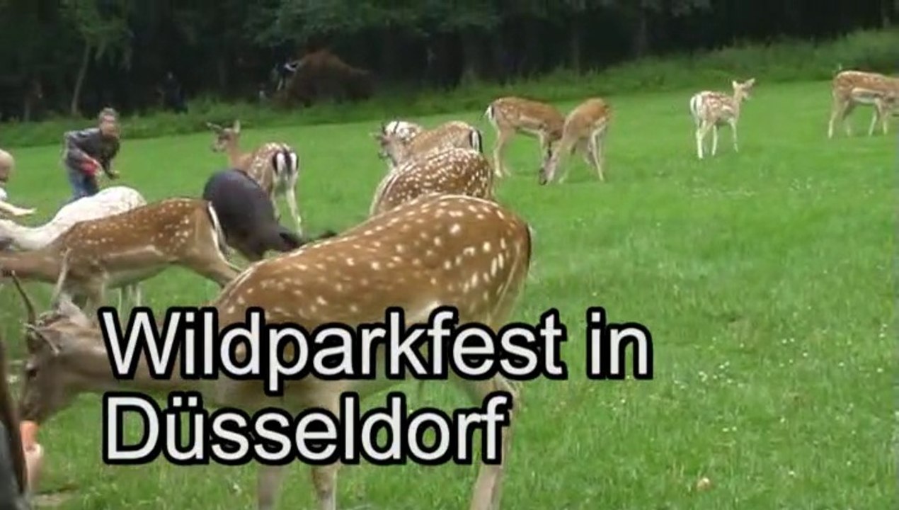 Wildparkfest