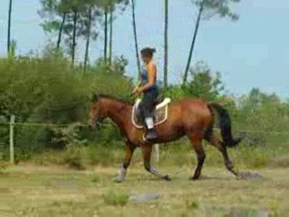 Op'Ahle 3 / 7 - Dimanche 16 Aout 2009