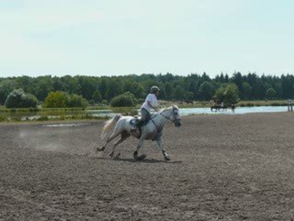 Lamotte Beuvron 2009
