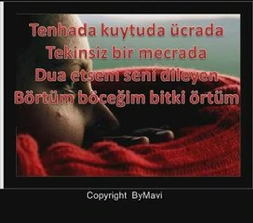 Mustafa Ceceli Limon Çiçekleri