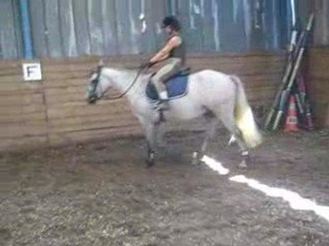 Start up débourrage mardi 18 aout 2009