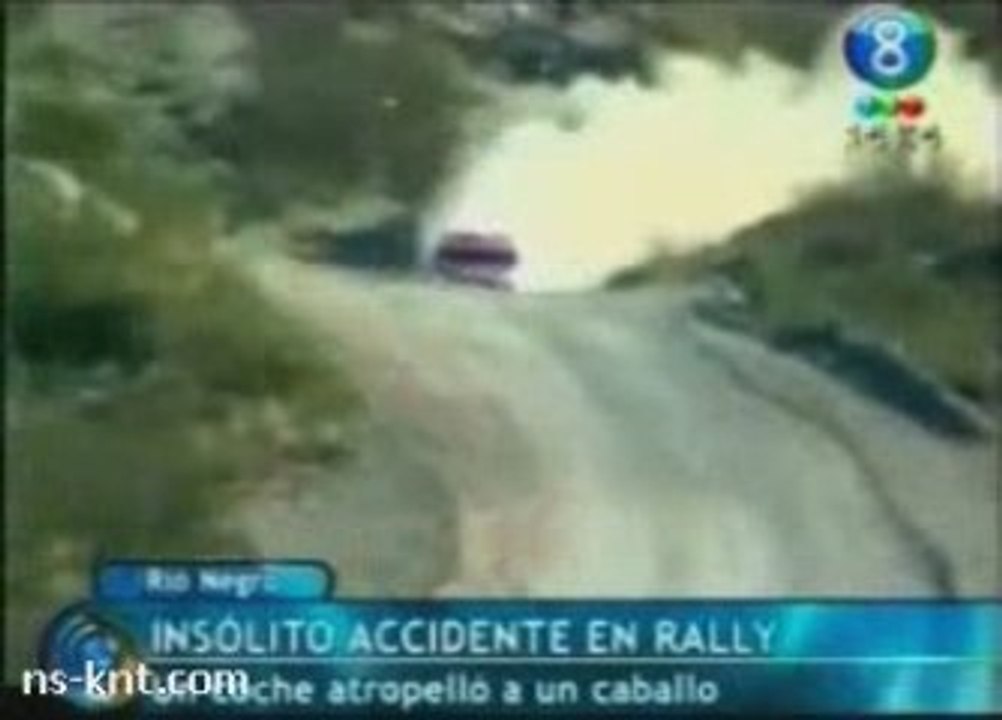 Rally Car vs. Horse