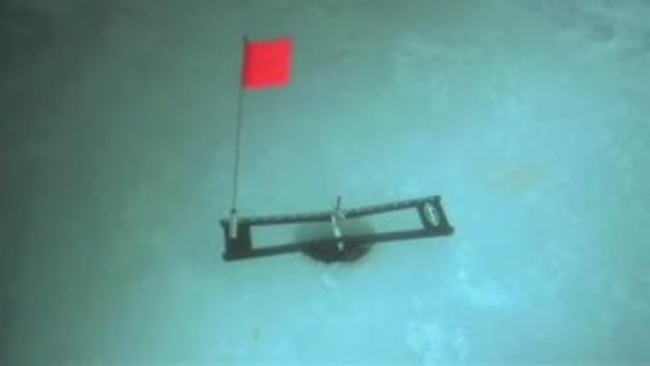 Hypothermia 1er trailer