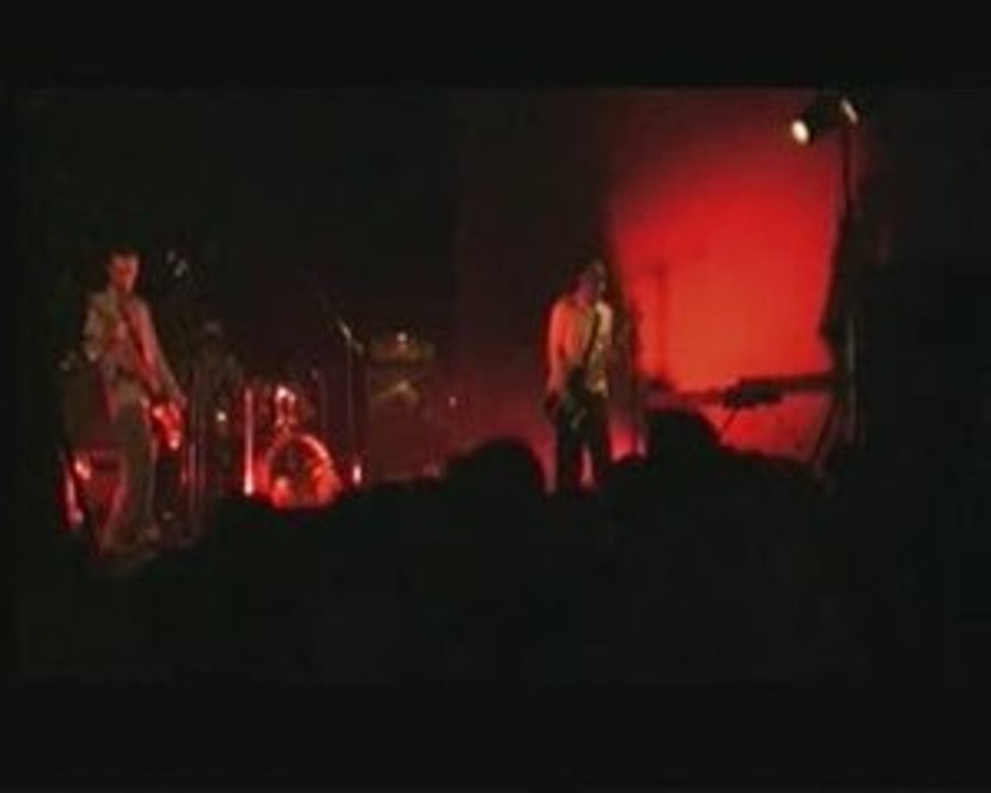 Molten Ivy Live