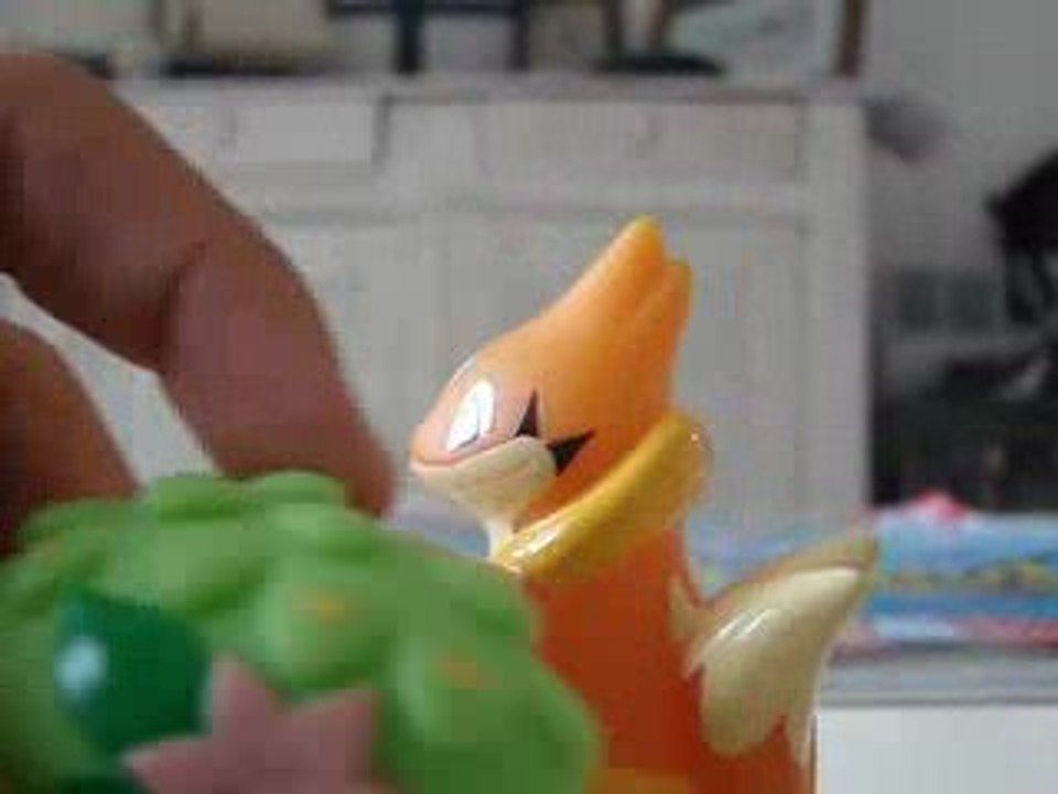 pokemon pierrick