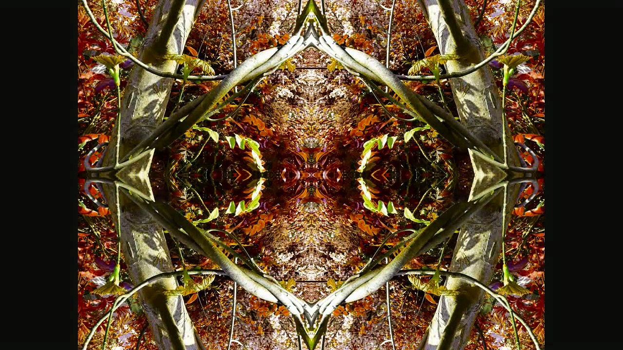 Sculptures-Vivantes _ 18-08-2009 _ seconde partie