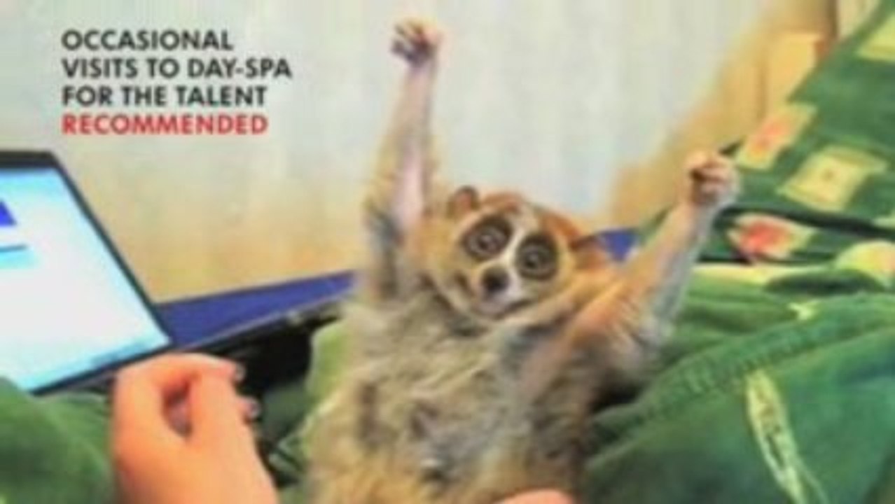 42 Below Heavy Petting