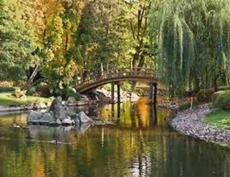 KOLOR-NIECH ŻYJE ŻYCIE