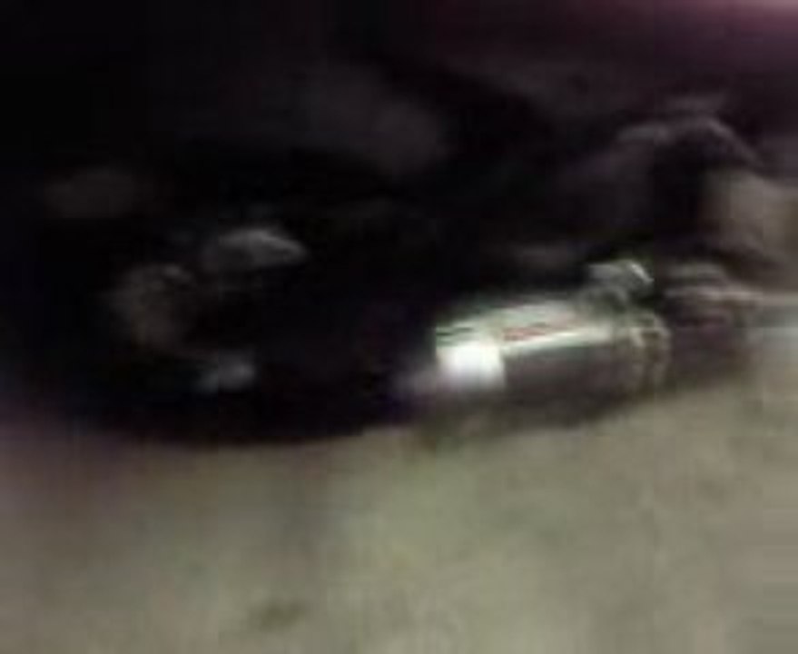 pot giannelli 1000 cbr