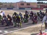 Toreilles 2009 Championnat de France de pocketbike Open50cc