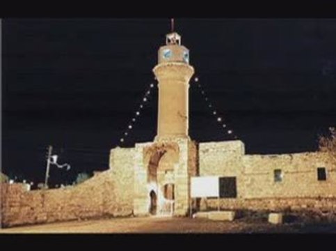 zile oyun havalari (çayırda buldum seni)zileweb.com