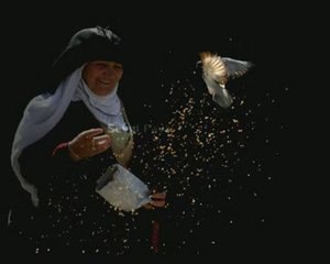 Sevgi Paylaşmaktır, Paylaşmak Güzeldir...