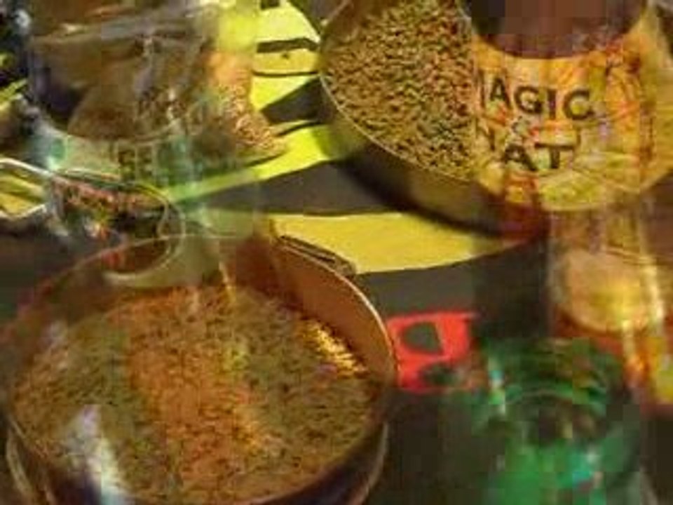 American Detour: Vermont - Magic Hatfuls of Indulgence