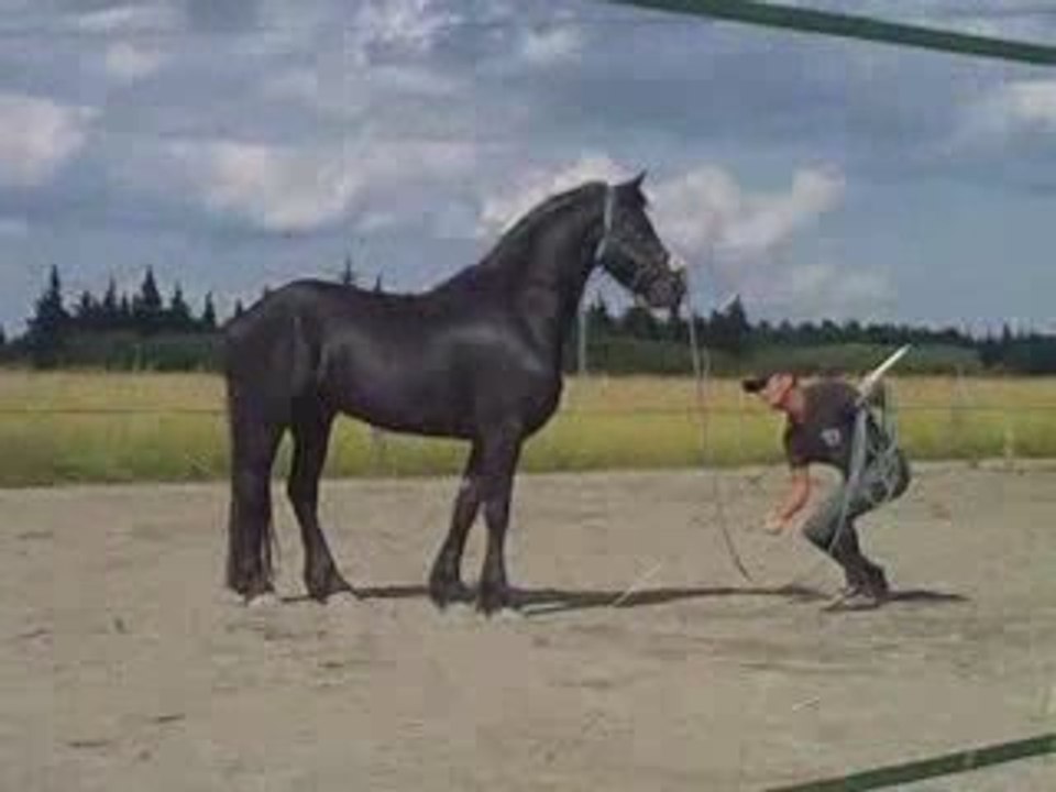 memorable séance de longe