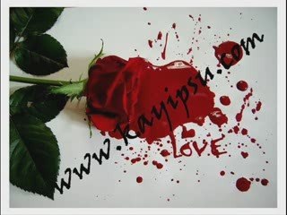 Gamze Bulut-Yarın Bu Şehirden Ayrılacağım...