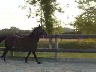 Quiator van août 2009