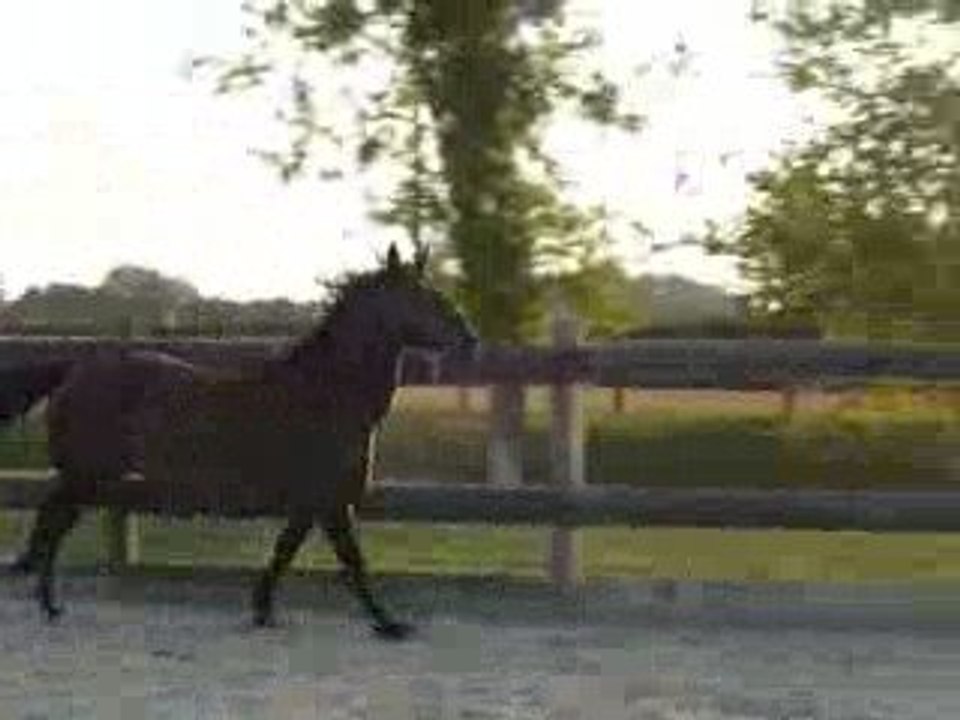 Quiator van août 2009