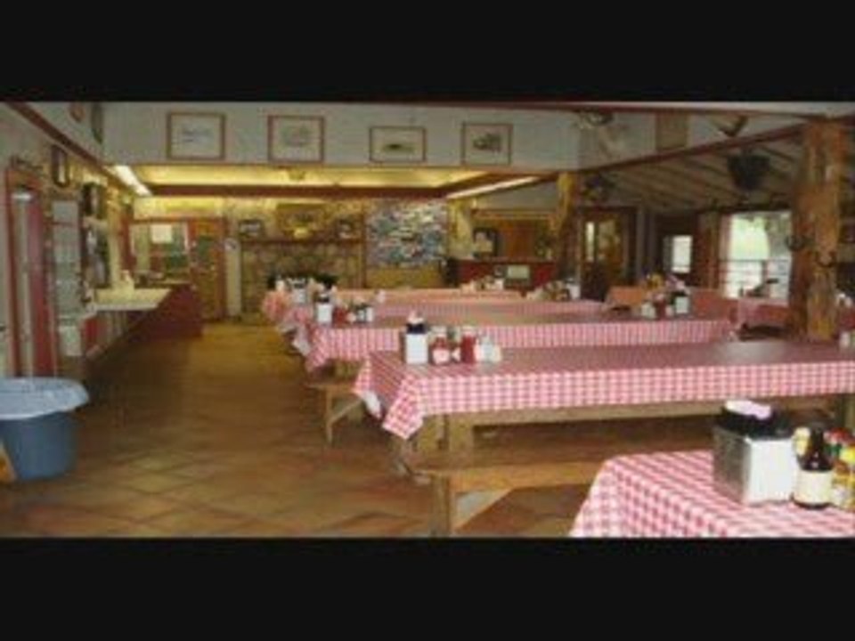 Exotic Wildlife Tours at Y.O. Ranch near San Antonio