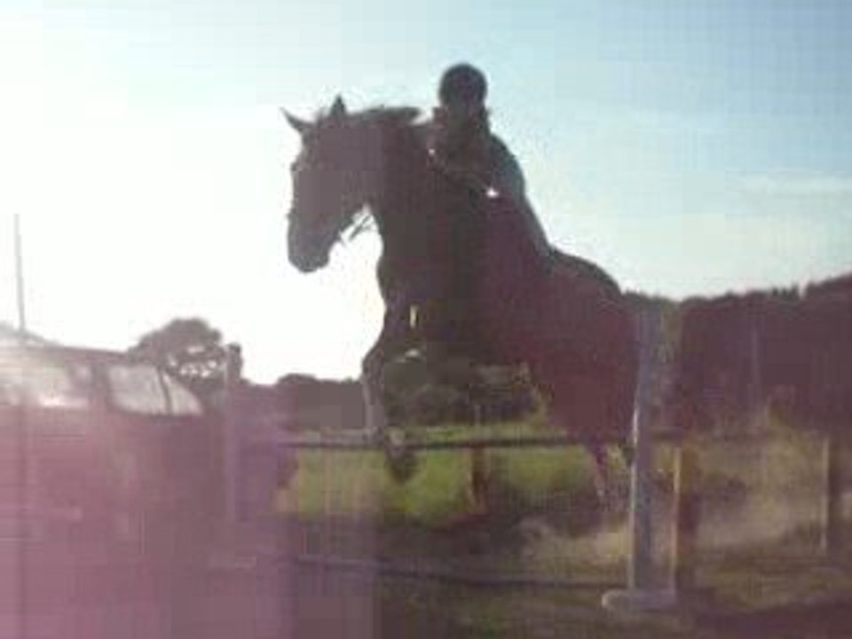 Saut avec Novila , trotteuse française.