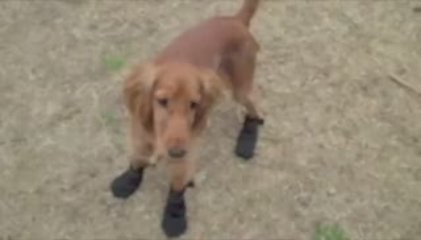 Camila - A las corridas