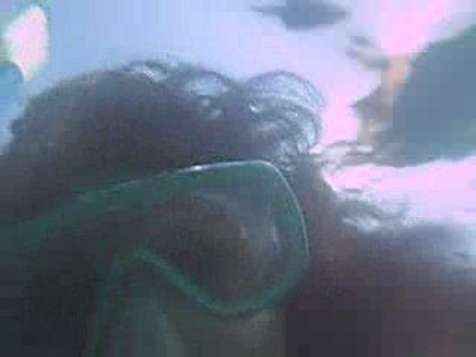 mes amis les poissons