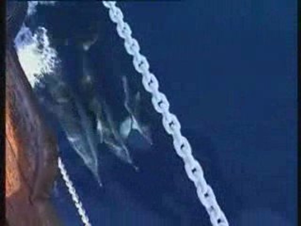 Εθνικο Θαλασσιο Παρκο Αλοννησου Βορειων Σποραδων