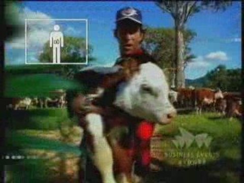 Sydney: The Business Event & Conference Destination