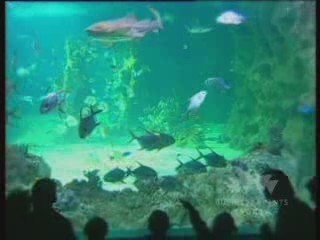 Business Event & Conference Destination - Sydney Australia