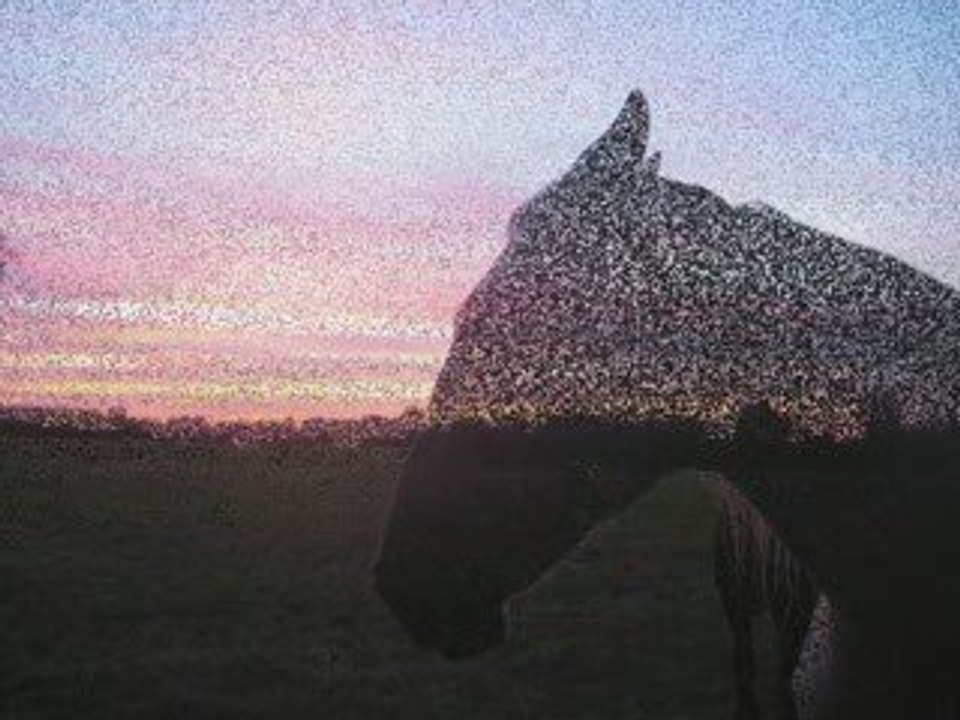 une minute de bonheur_0001